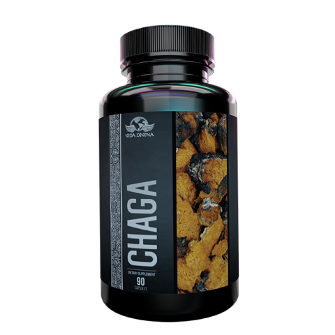Chaga